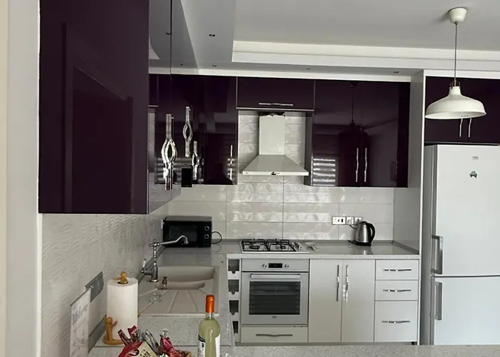 公寓 Nicosia's Diamond 尼科西亚