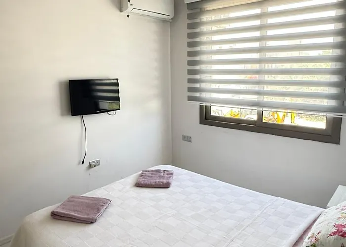 Nicosia's Diamond 尼科西亚